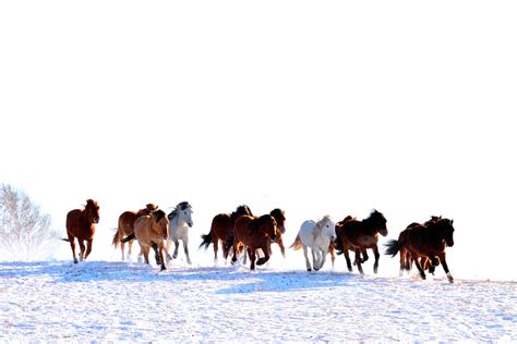 Betting On Alaska : r/alaska .